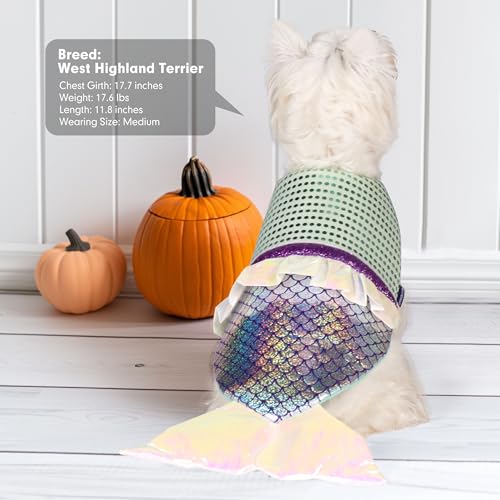 Dog Costumes Size XL E735474