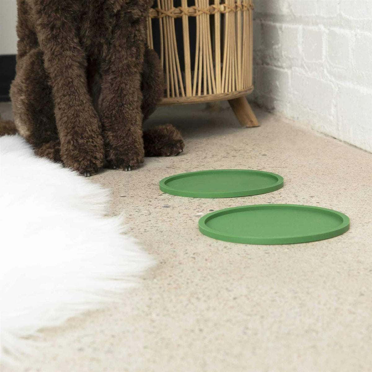 Circle Dog Placemat G11549