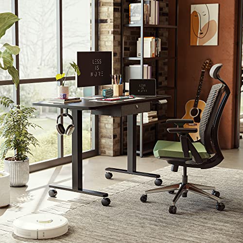 55 x 24 Inches Adjustable Height Electric Standing Desk with Drawer O99991