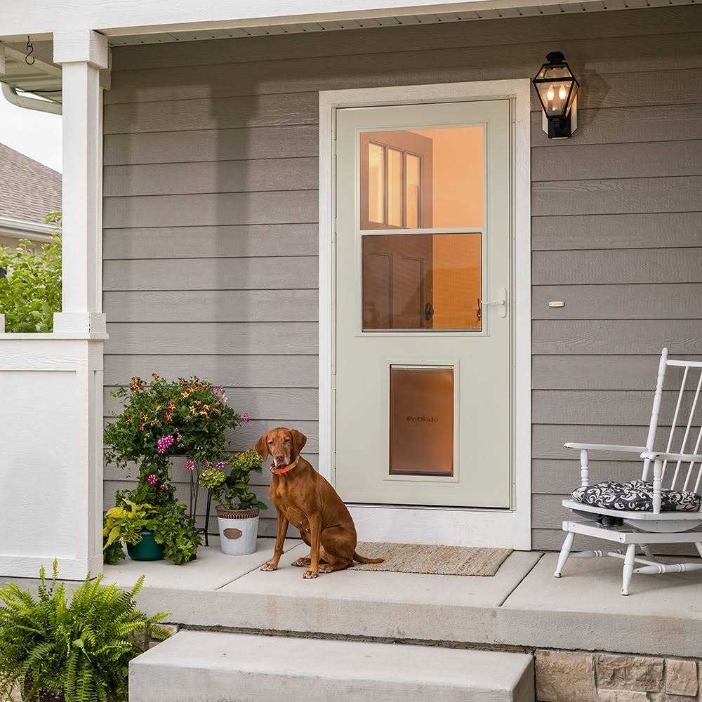Pet Storm Door S43224