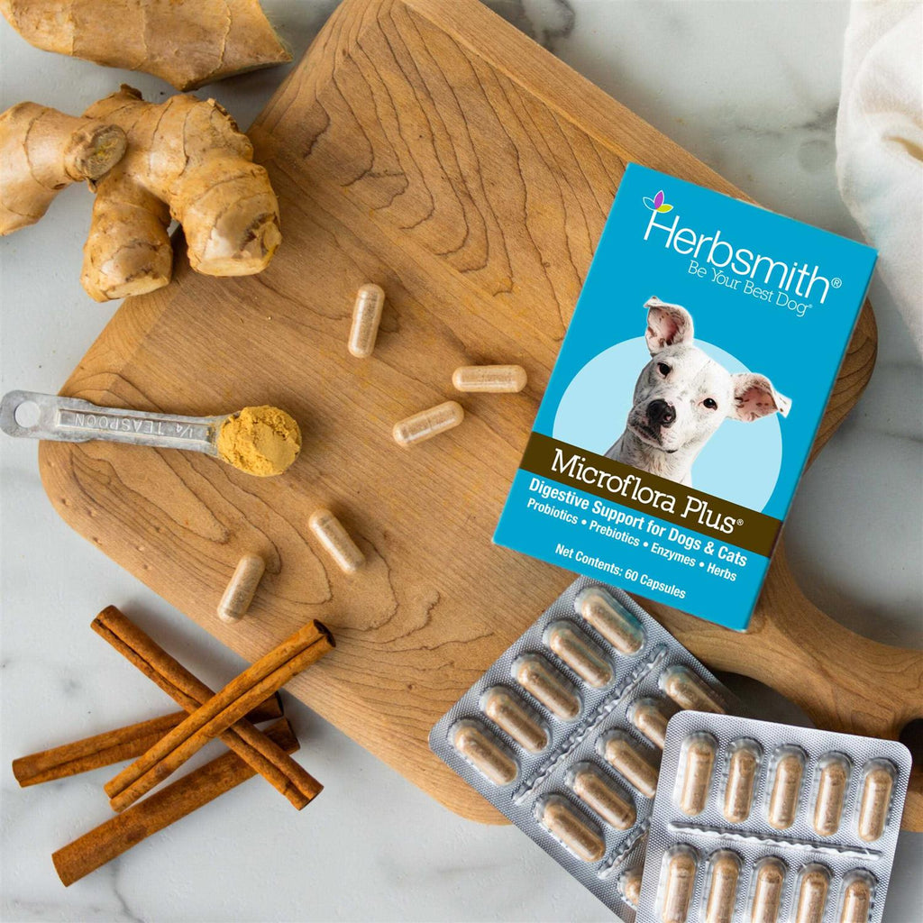 Microflora Plus for Digestion Pet Supplies S323195