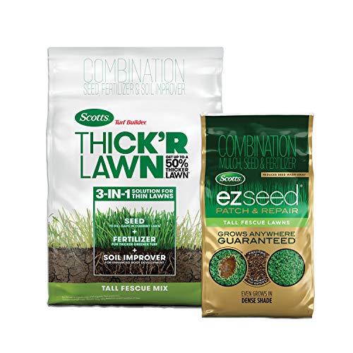 Grass Seed, Fertilizer, and Soil Improver for Tall Fescue, 4,000 sq. ft., 40 lbs. B124