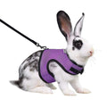 Adjustable Soft Harness with Elastic Leash for Rabbits L566772