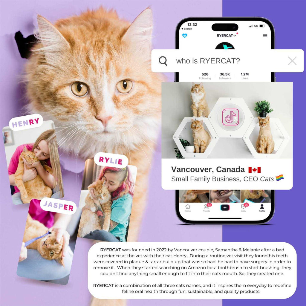 Dual Sided Cat Toothbrush D962405