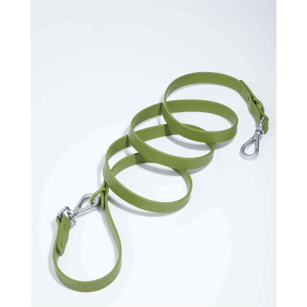 Dog Leash D891