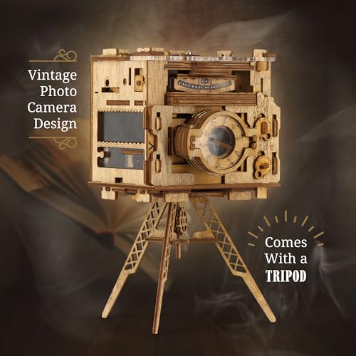 3D Wooden Sequential Puzzle Box O785324