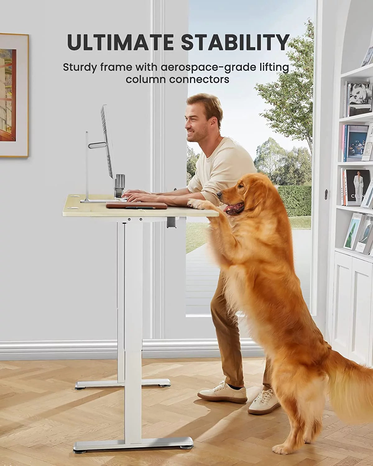 Electric Standing Desk 48" x 24" Height Adjustable F656788