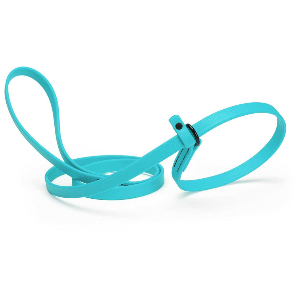 Biothane Slip Dog Leash X40280