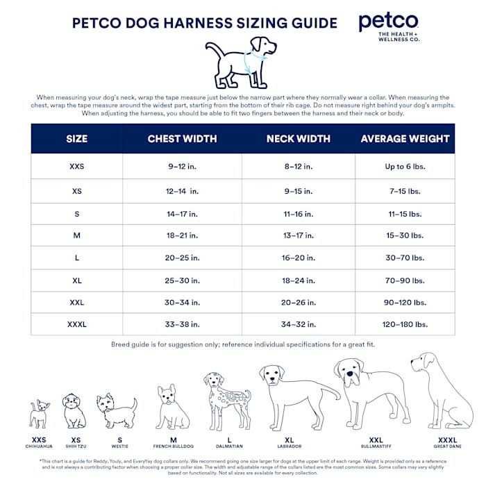 Black Dog Harness A1289