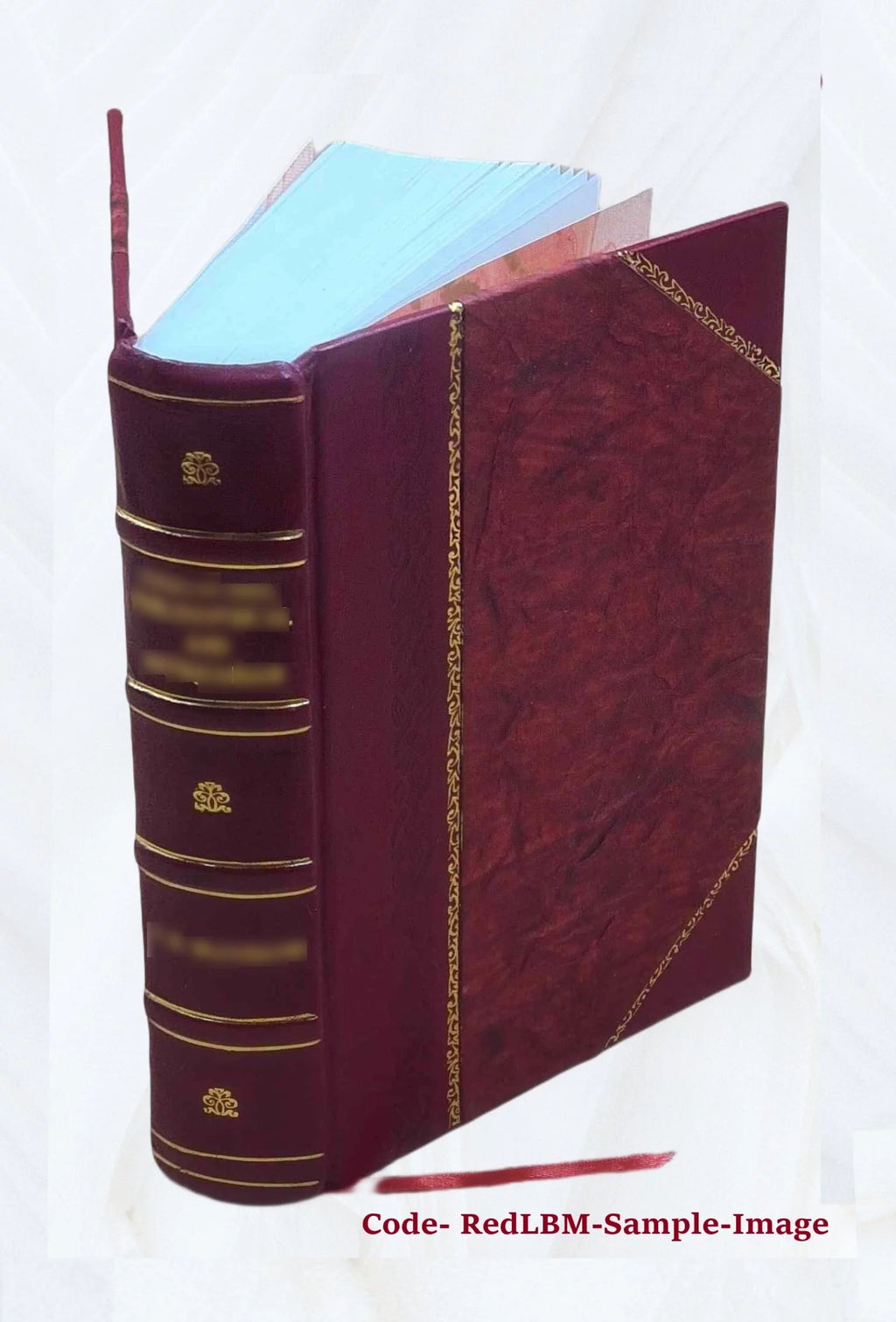 Leather Bound Book N75536