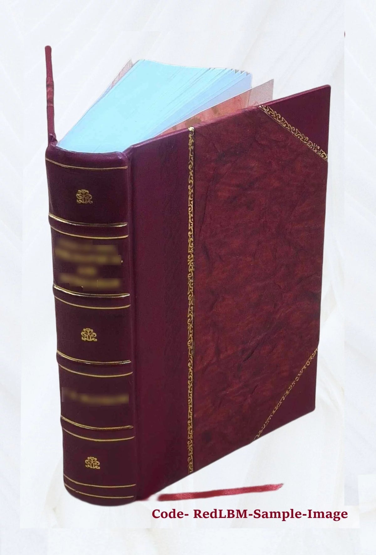 Leather Bound Book N75536