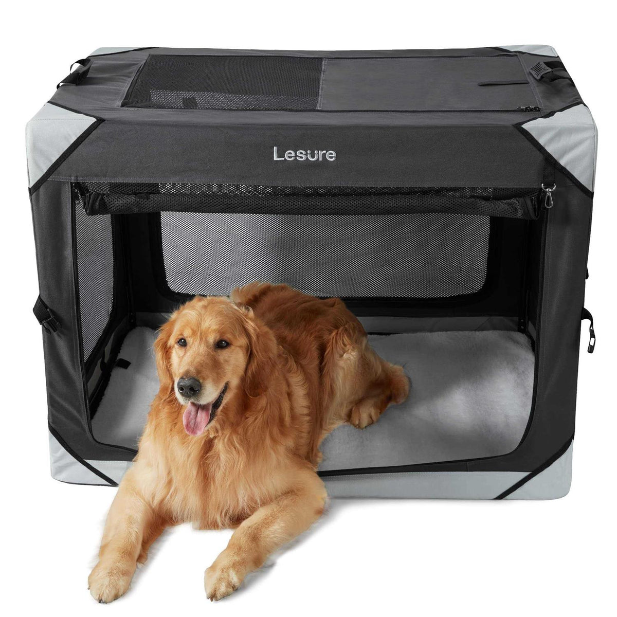 Collapsible Dog Crate D52047