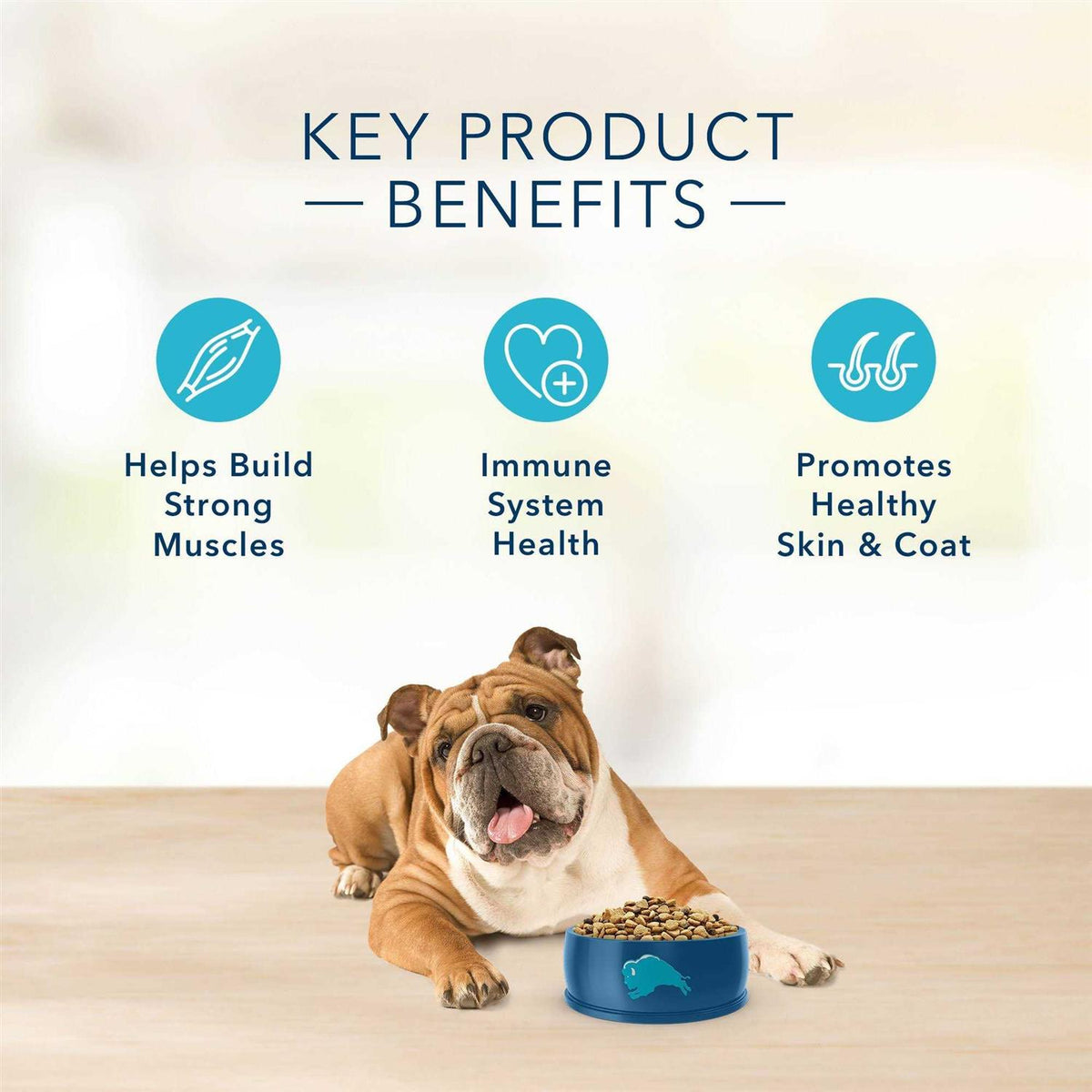 Grain-Free Lamb & Potato Dry Dog Food P451382