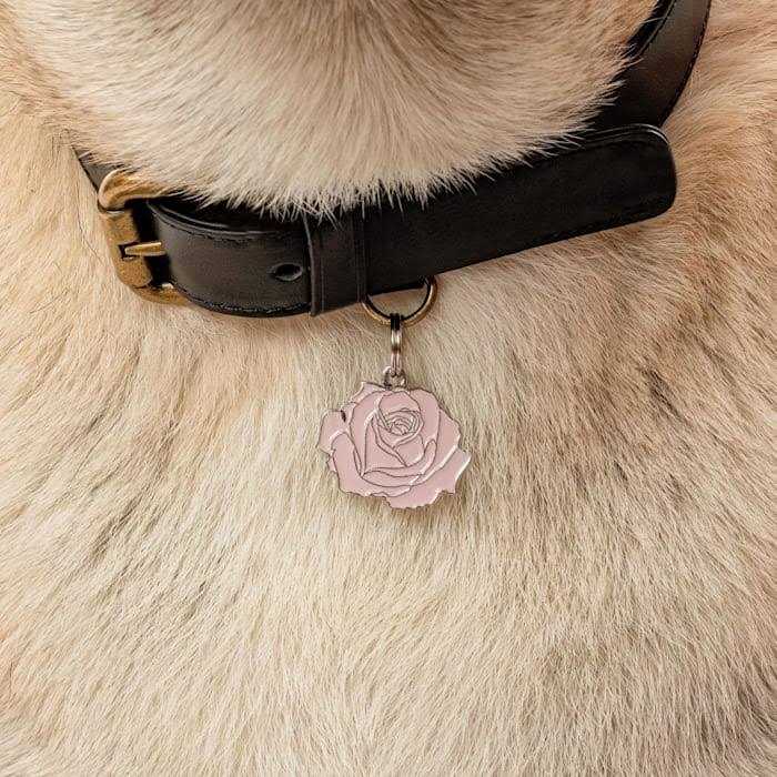 Pet Supplies O7071