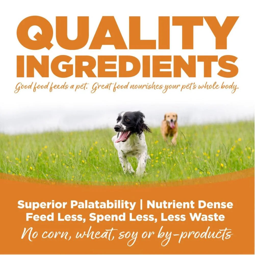 Lamb Meal and Rice Dry Dog Food 15 lb X281