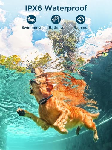 Wireless Dog Fence Electric Collar Waterproof Rechargeable Pet Containment System Y69874