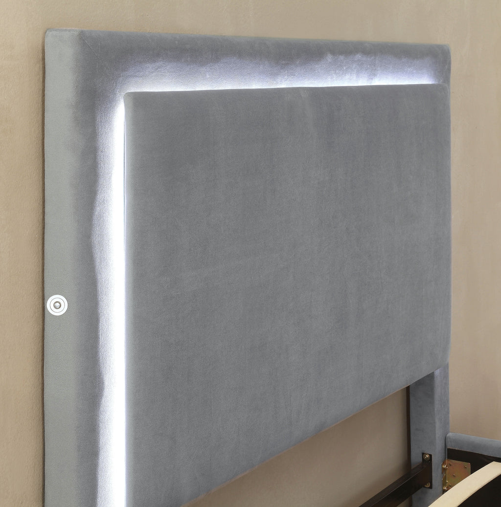 Queen Gray Bed U10128