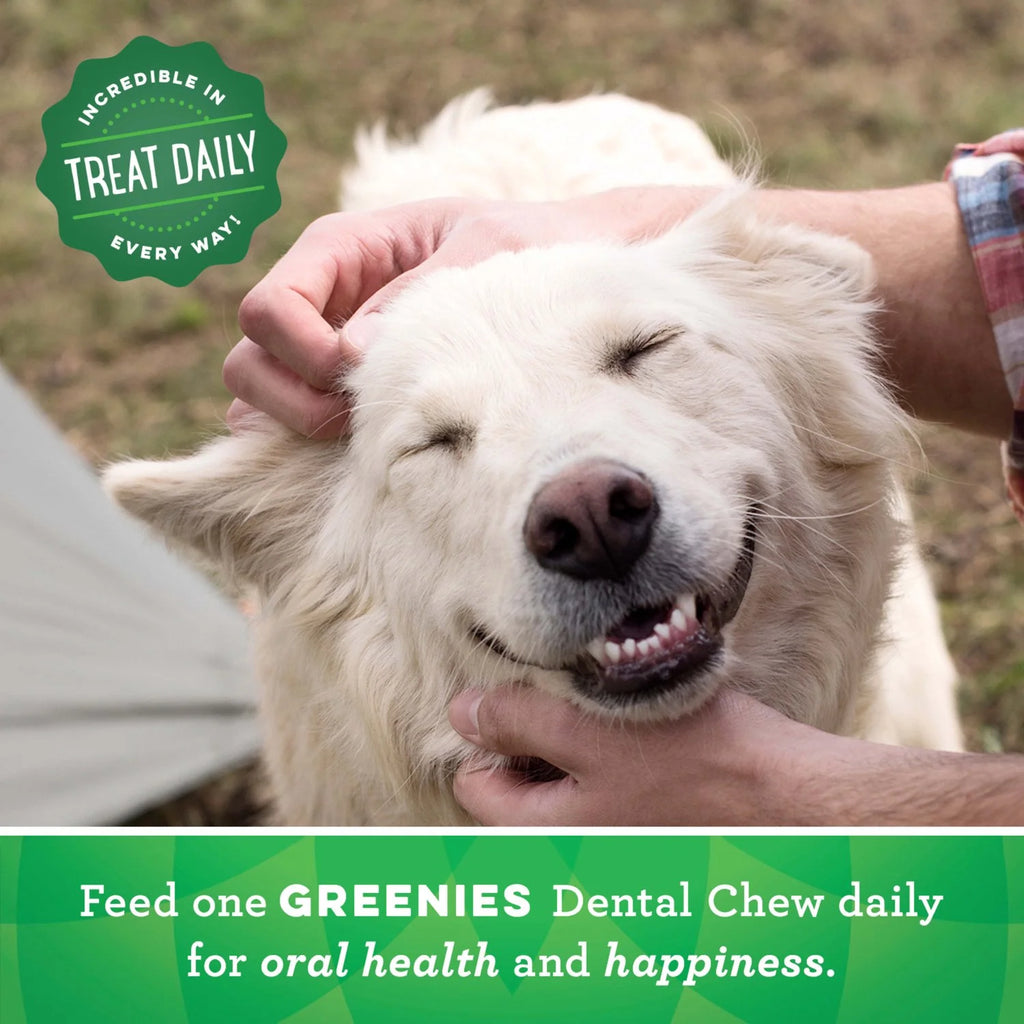 Dental Treats for Dogs 18 oz 4 Pack V68949